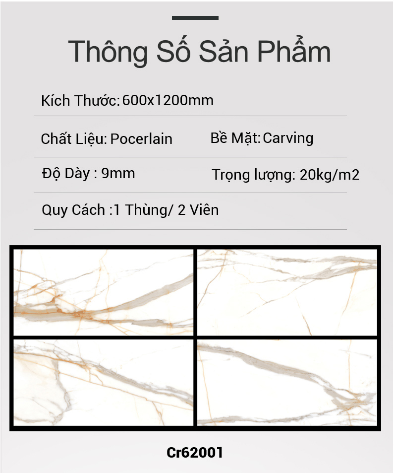 Gạch Ấn Độ 600x1200 Cr62001