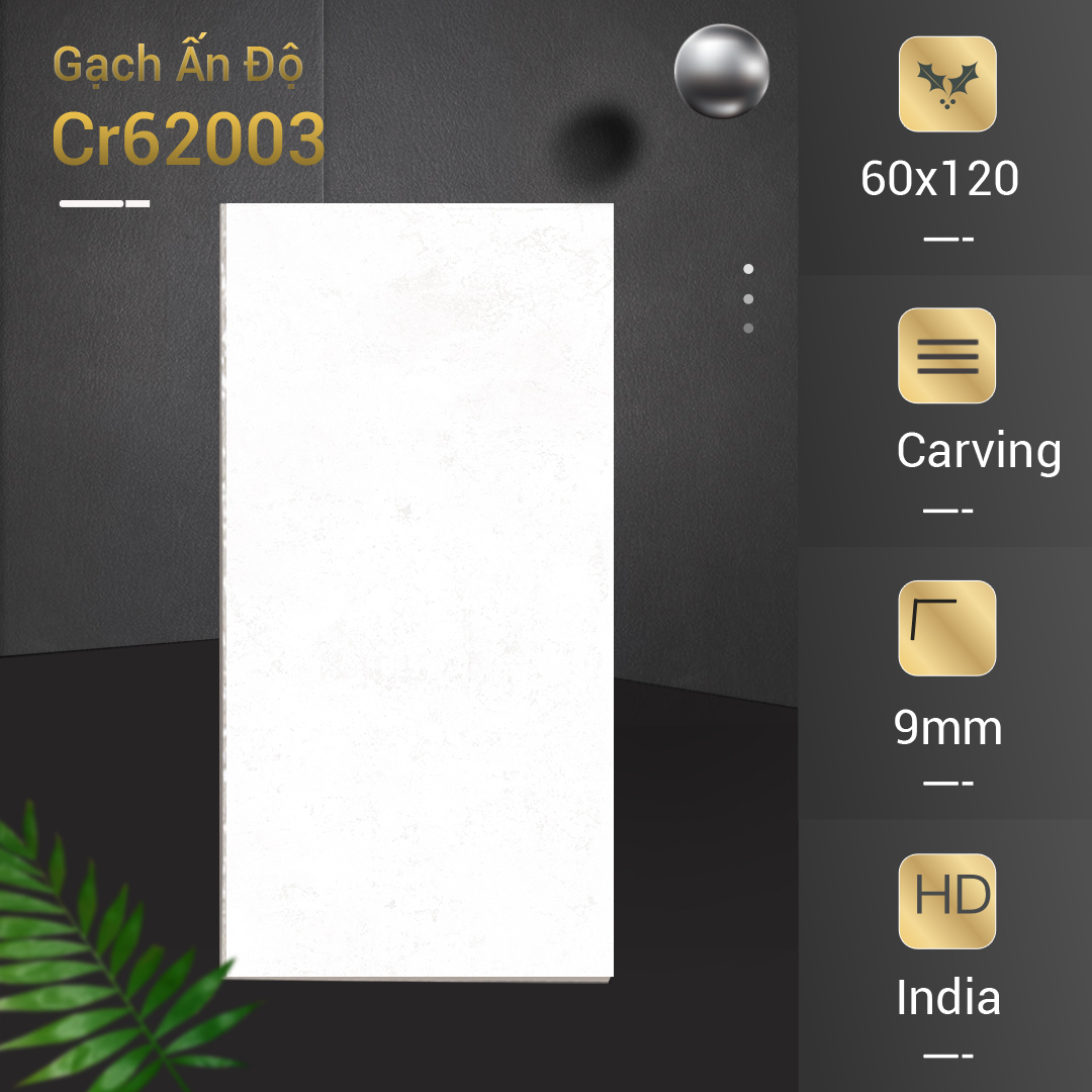 Gạch Ấn Độ 600x1200 Cr62003
