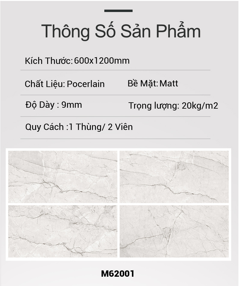 Gạch Ấn Độ 600x1200 M62001