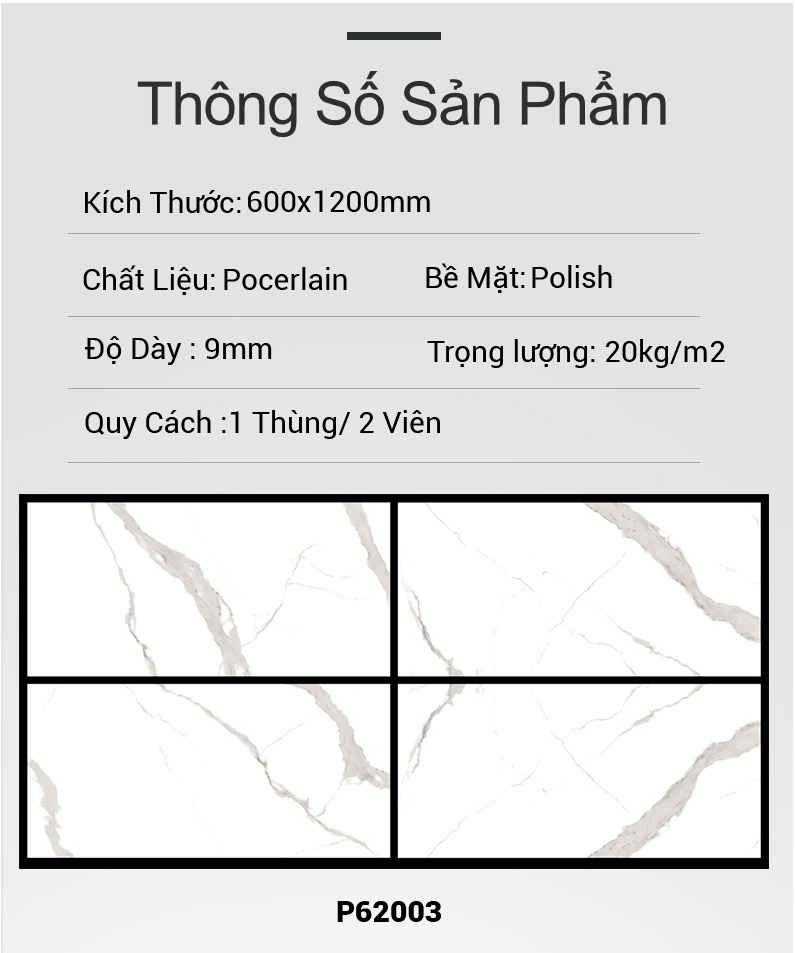 Gạch Ấn Độ 600x1200 P62003