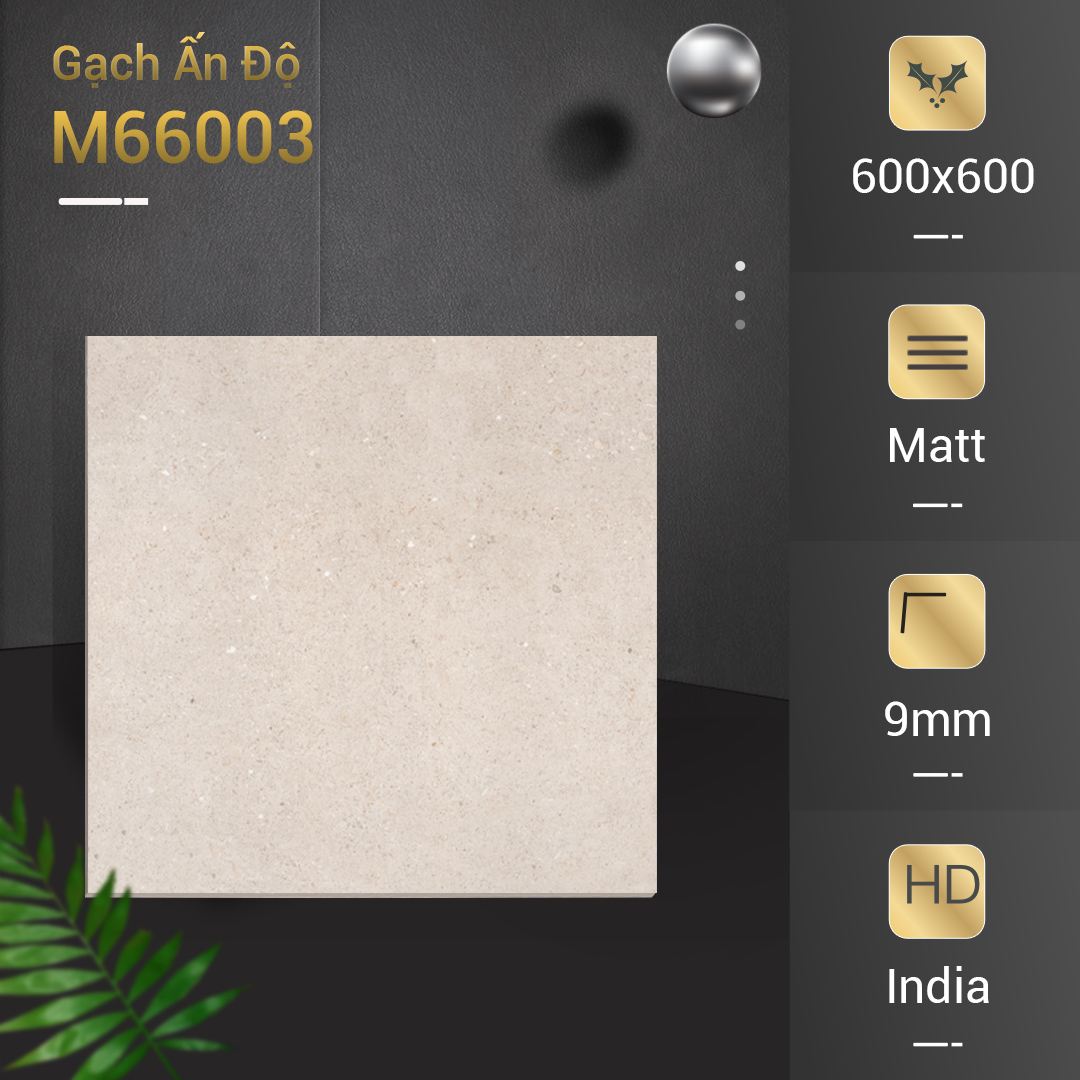 Gạch Ấn Độ 600x600 ARENA CREAM M66003