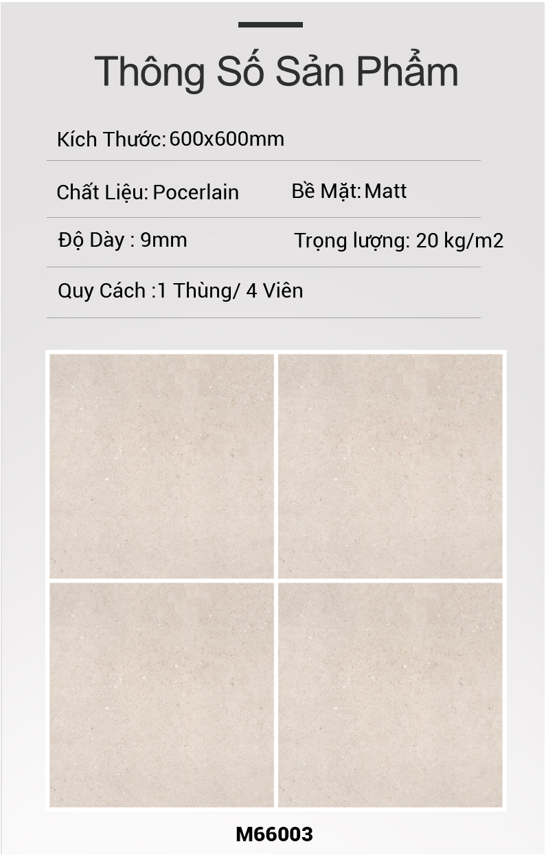 Gạch Ấn Độ 600x600 ARENA CREAM M66003