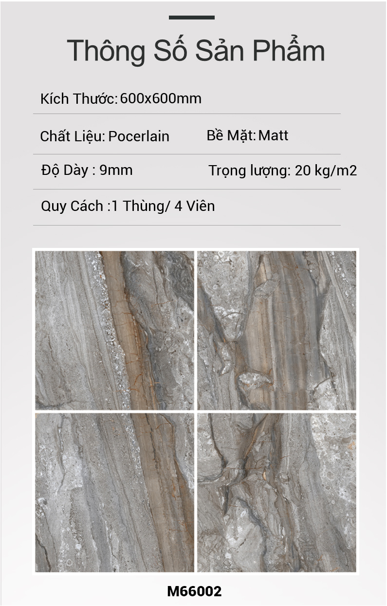 Gạch Ấn Độ 600x600 DYNAMO AZUL M66002