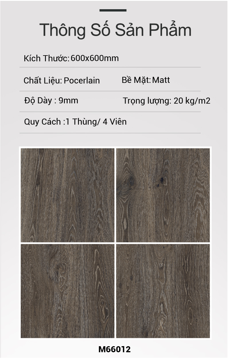 Gạch Ấn Độ 600x600 JANUS NERO M66012