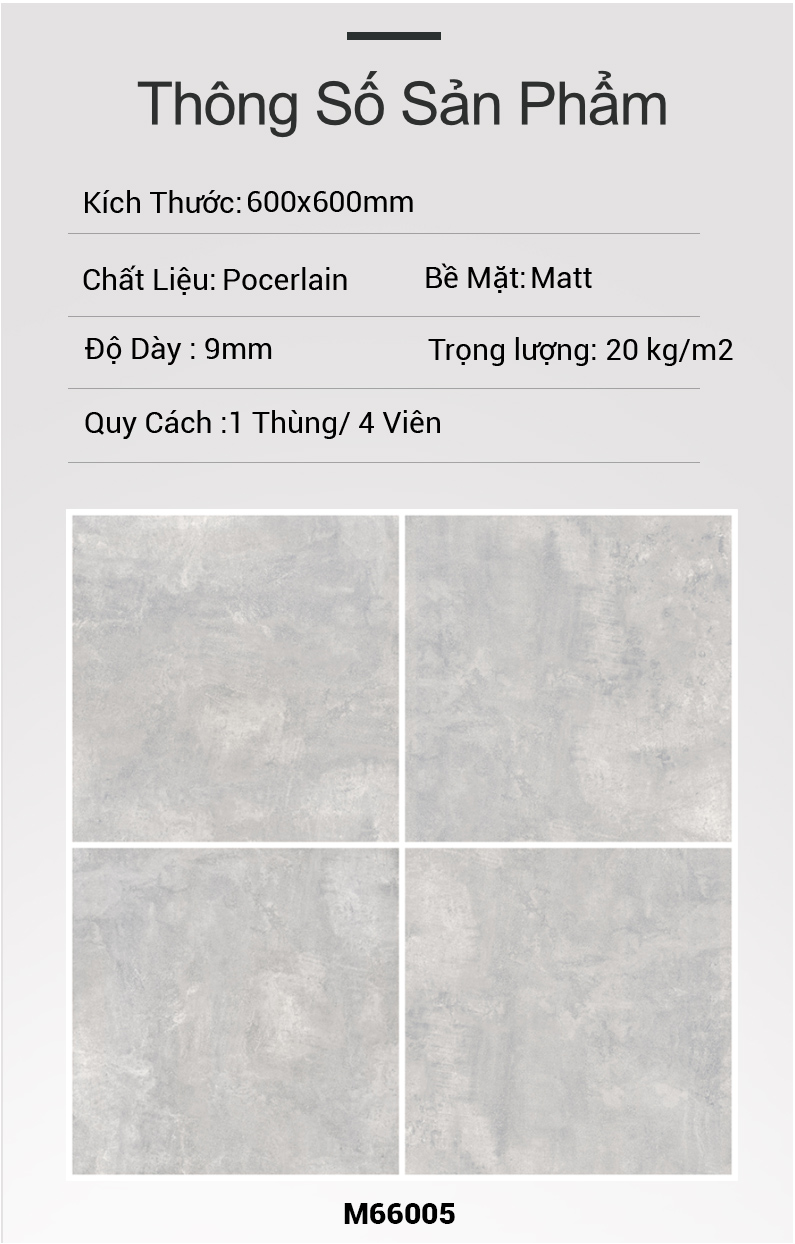 Gạch Ấn Độ 600x600 MICHIGAN GRIS LT M66005