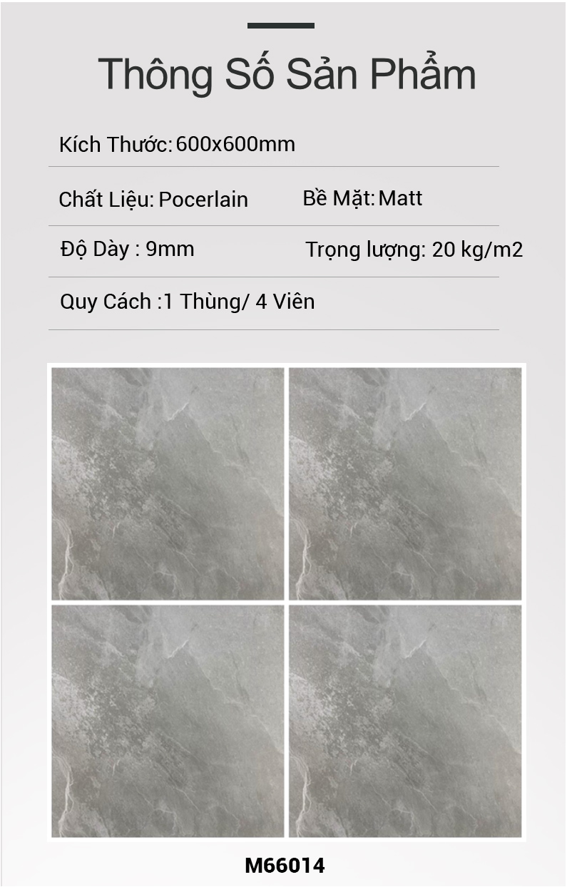 Gạch Ấn Độ 600x600mm M66014
