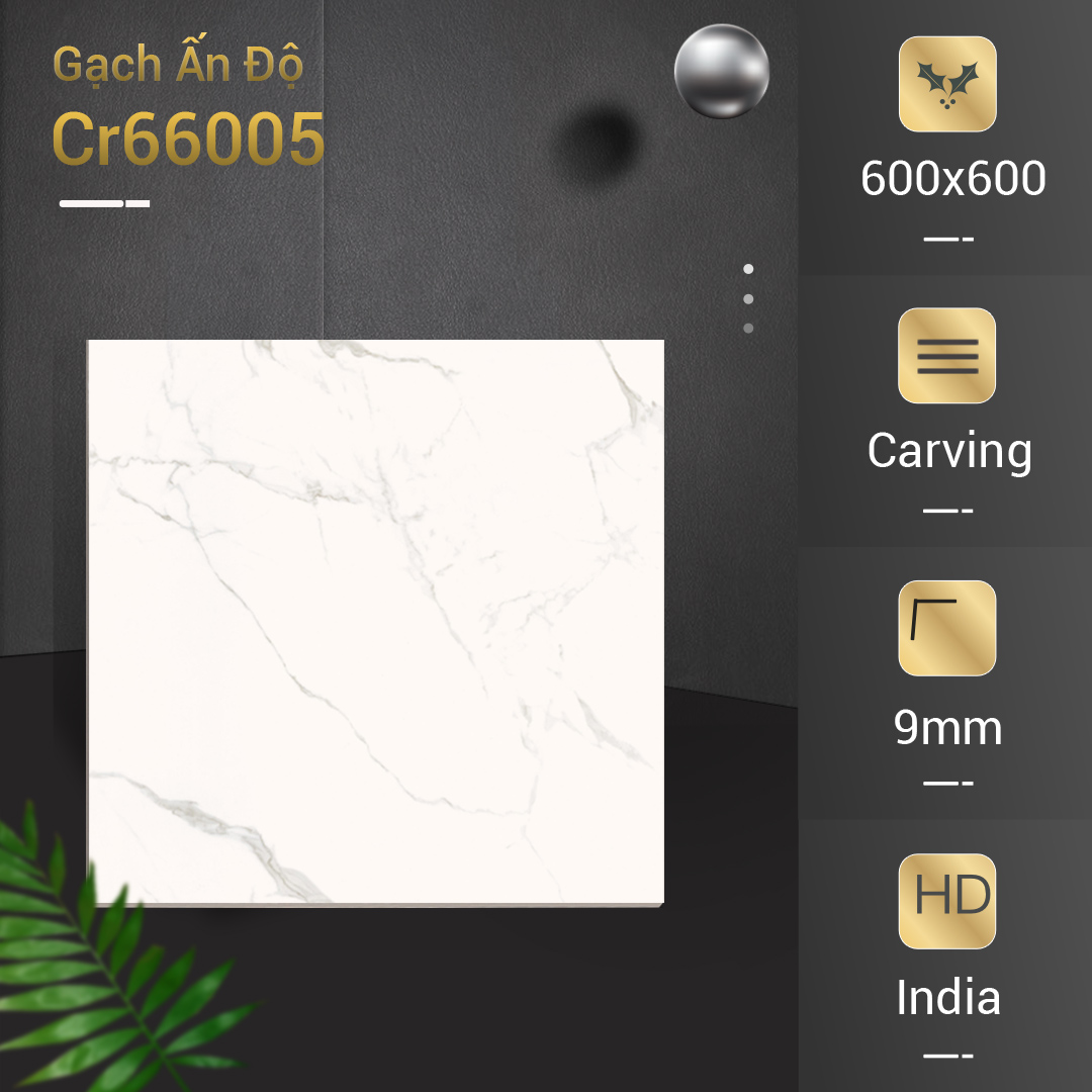 Gạch Ấn Độ 600x600 NUBE STATUARIO CR66005