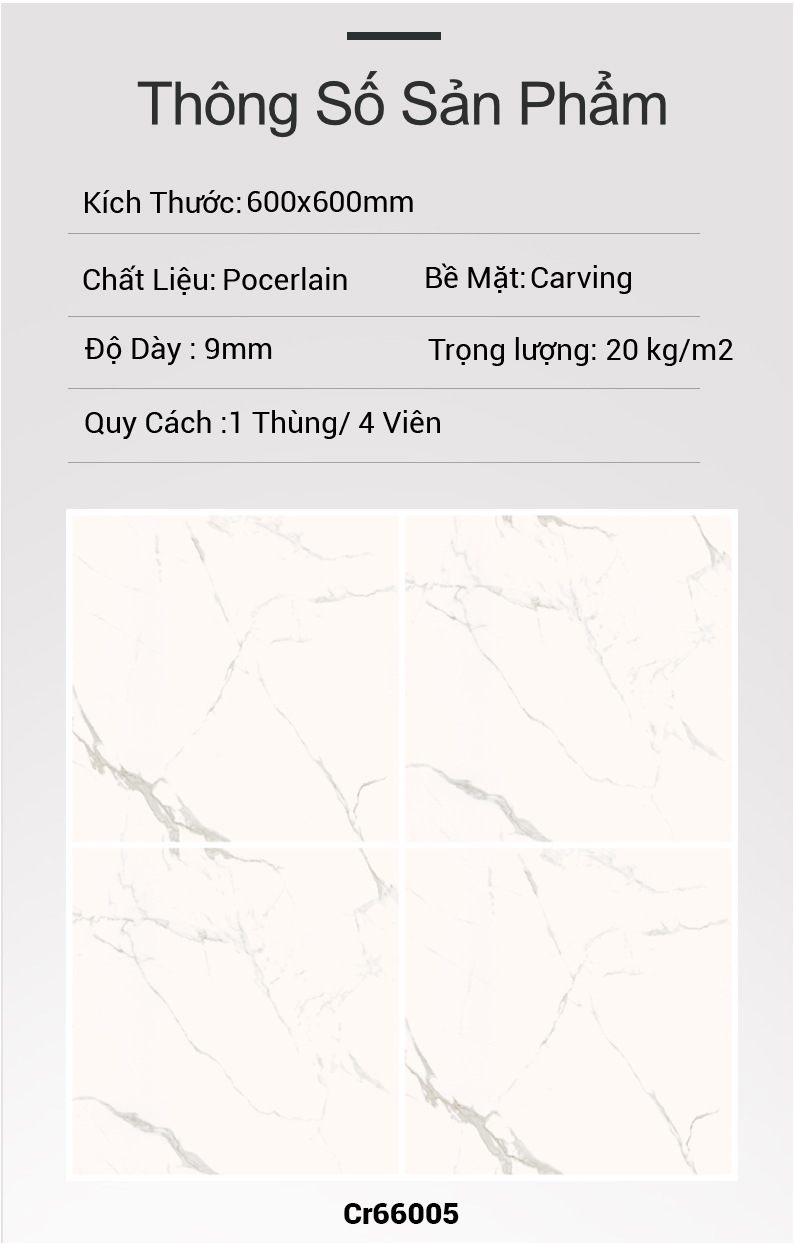 Gạch Ấn Độ 600x600 NUBE STATUARIO CR66005