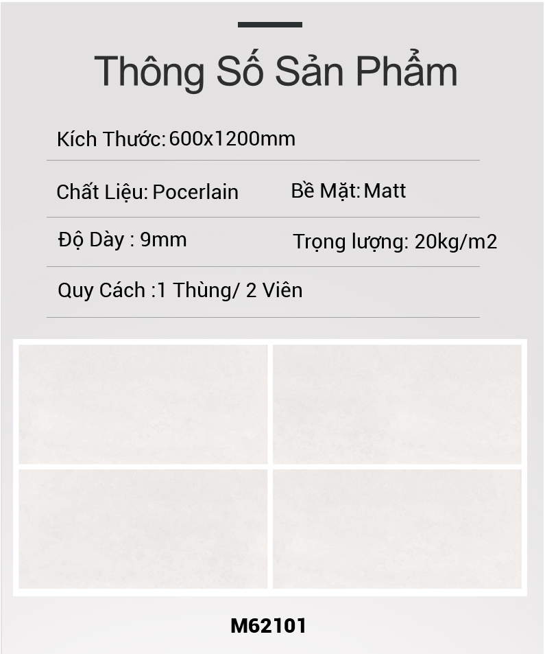 Gạch Ấn Độ 60x120 AM62003