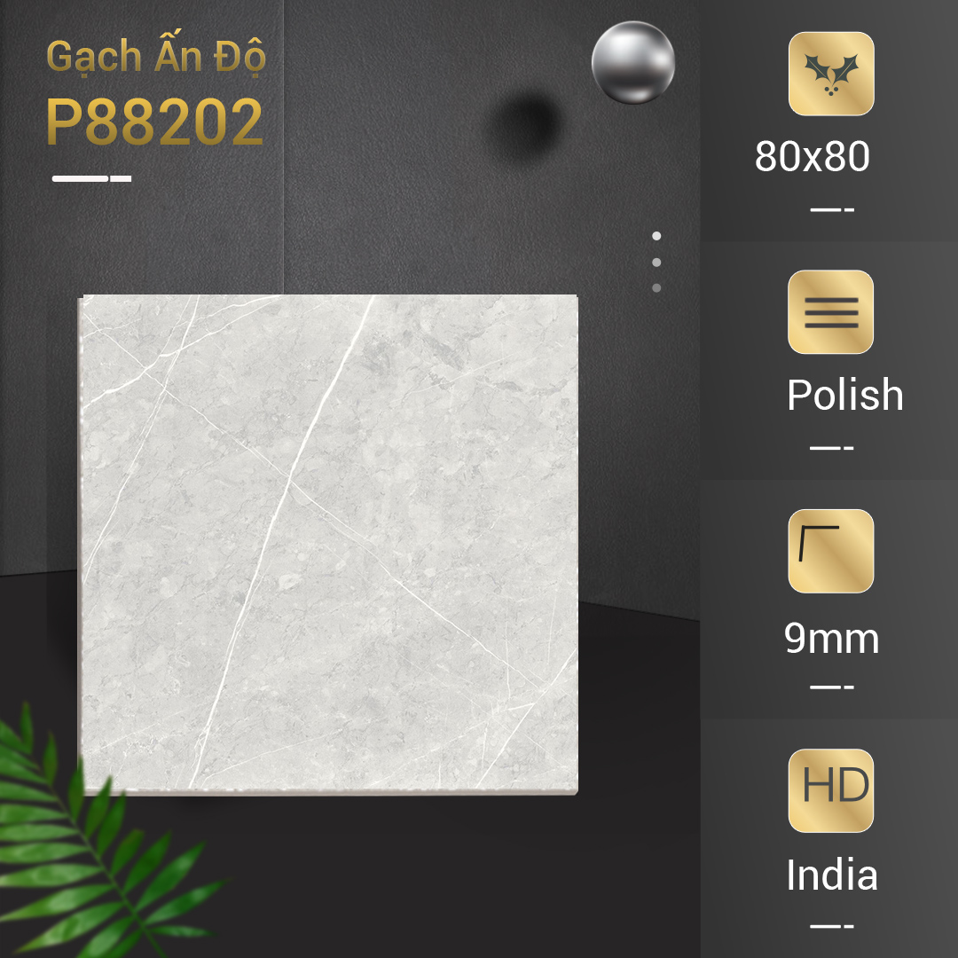 Gạch Ấn Độ 80x80 P88202