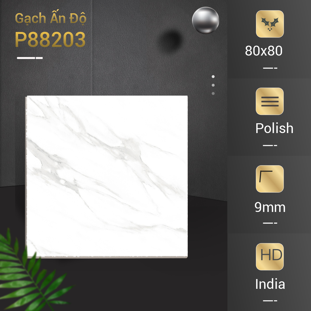 Gạch Ấn Độ 80x80 P88203