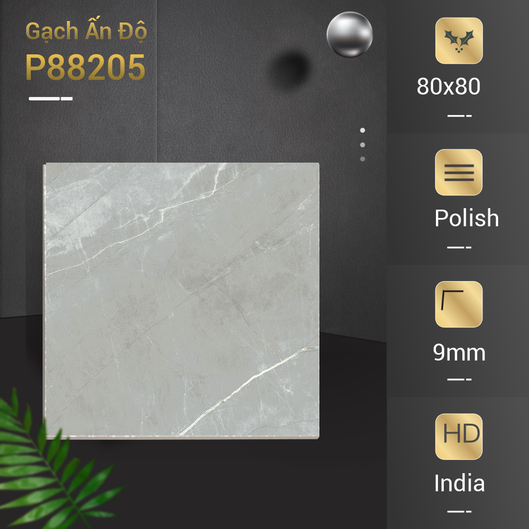 Gạch Ấn Độ 80x80 P88205