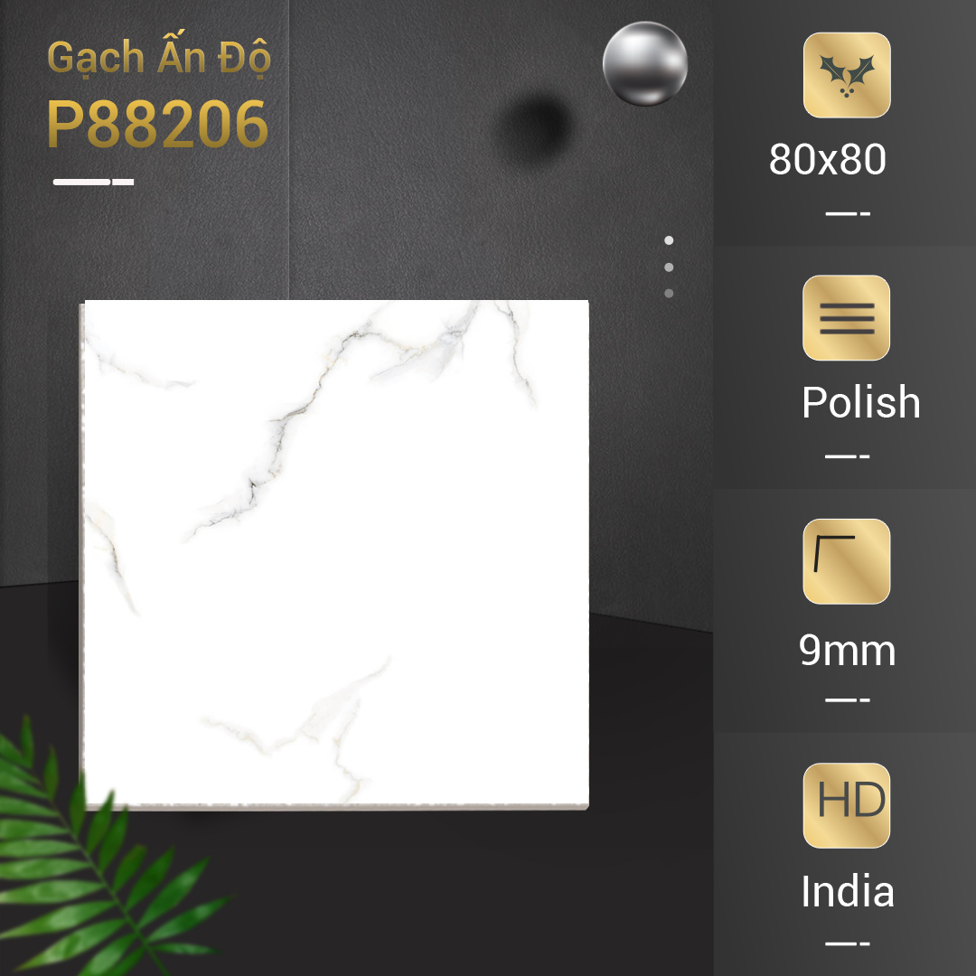 Gạch Ấn Độ 80x80 P88206