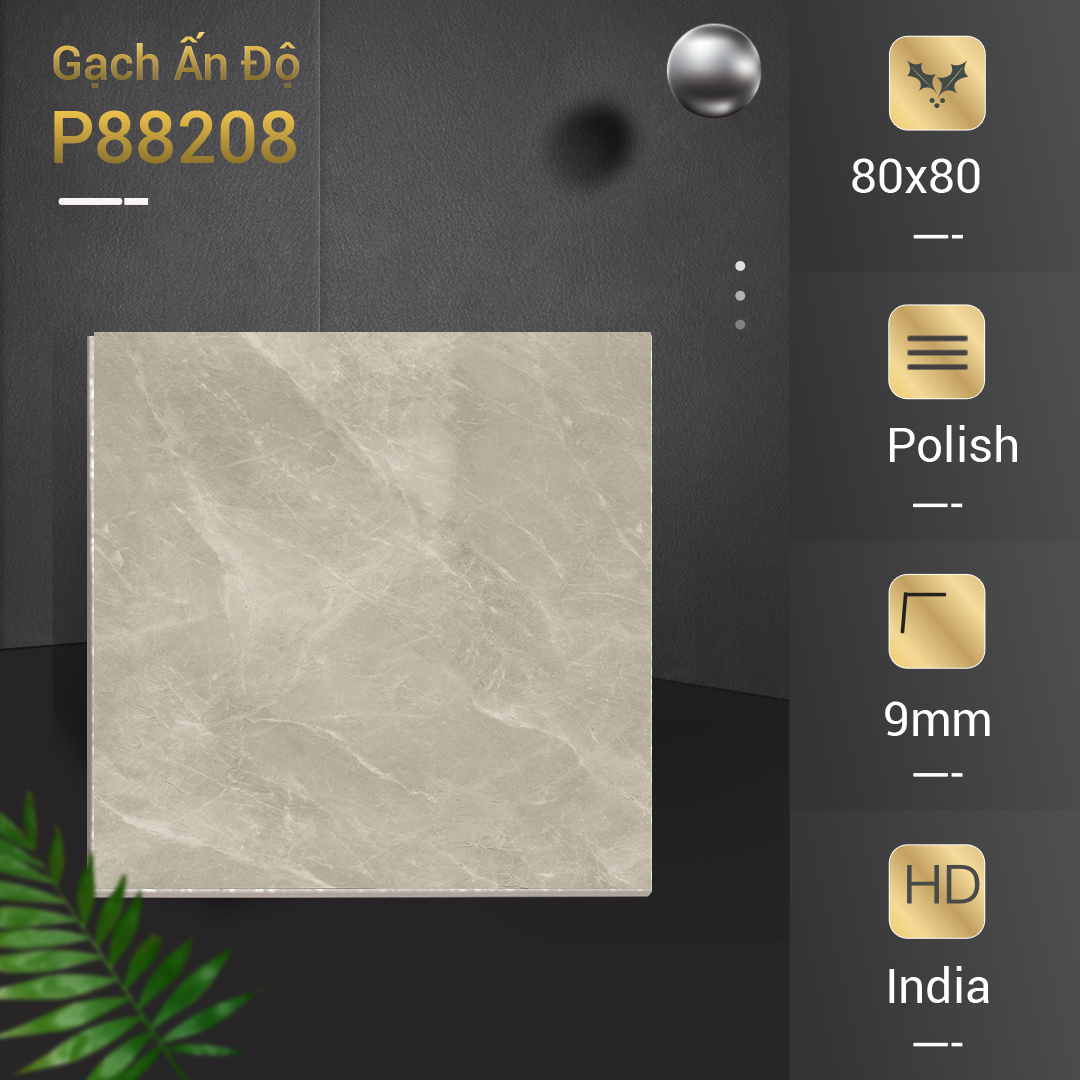 Gạch Ấn Độ 80x80 P88208