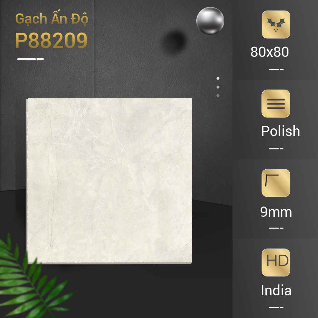 Gạch Ấn Độ 80x80 P88209