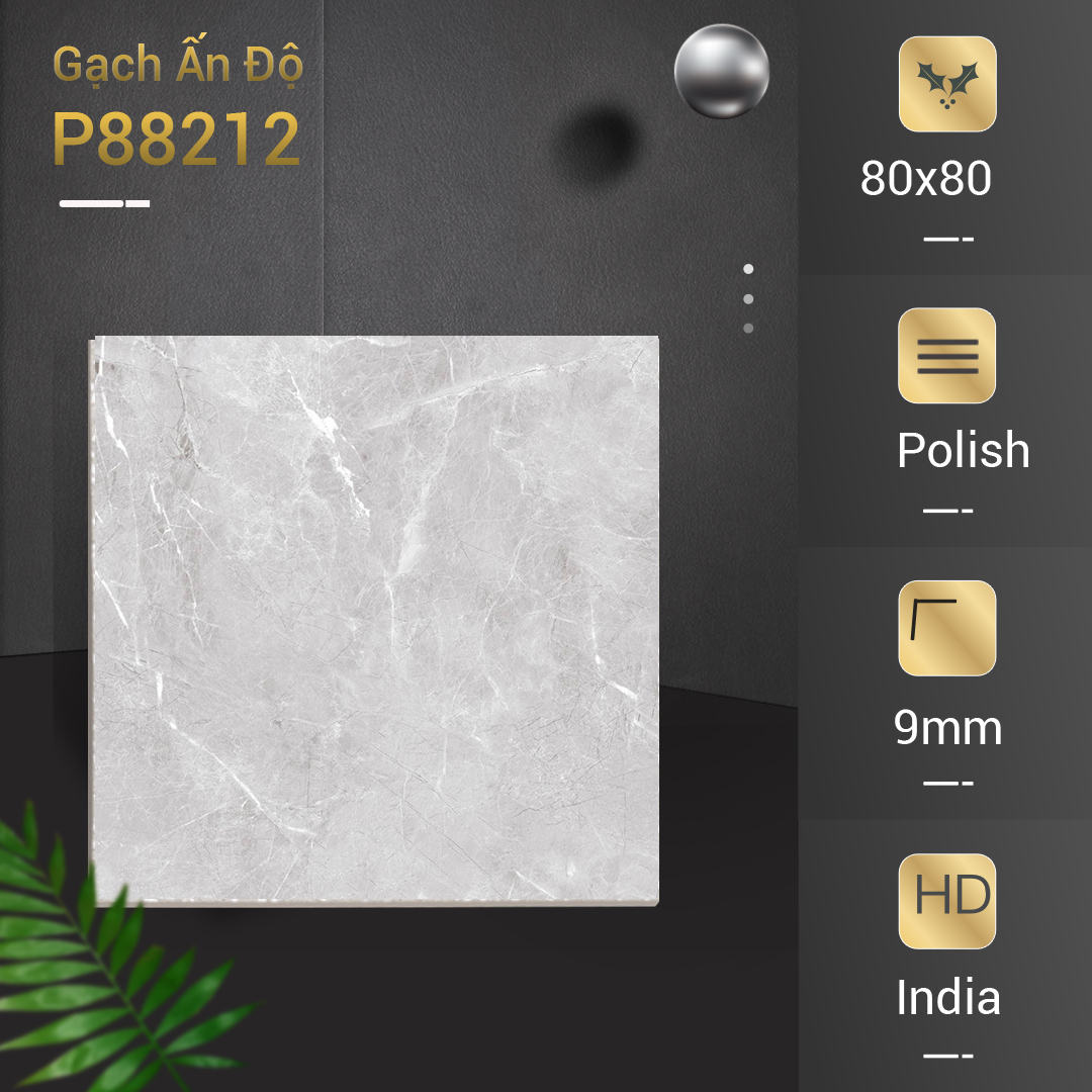 Gạch Ấn Độ 80x80 P88212