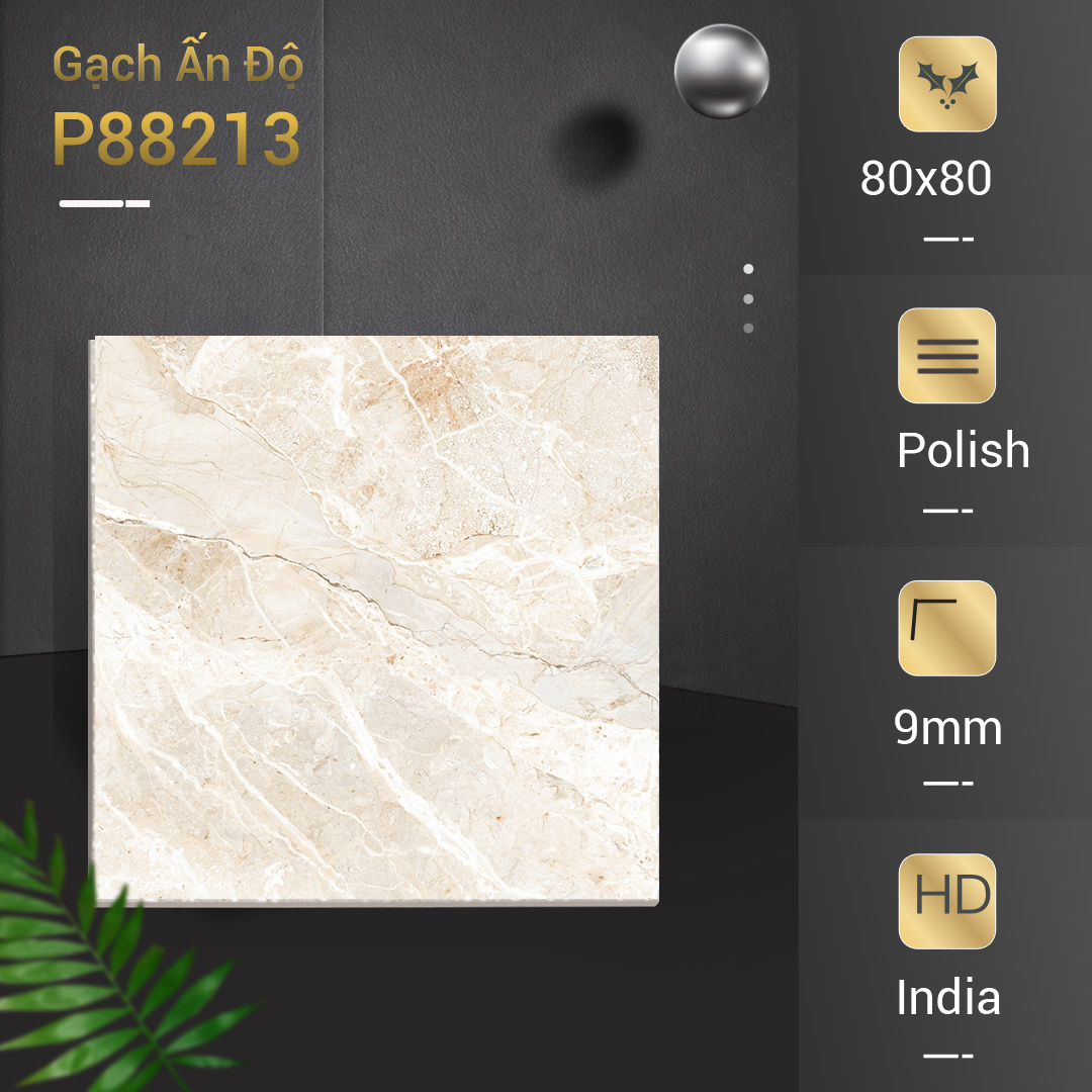 Gạch Ấn Độ 80x80 P88213