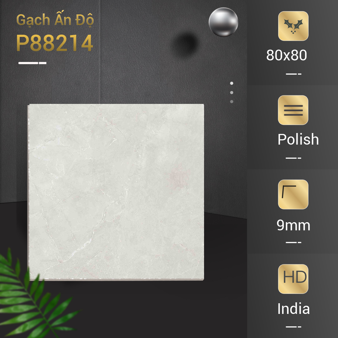 Gạch Ấn Độ 80x80 P88214