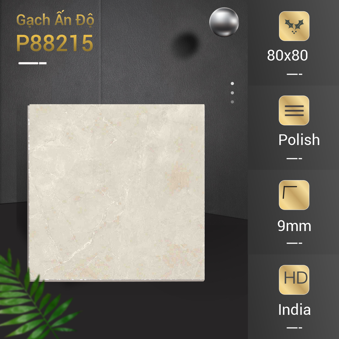 Gạch Ấn Độ 80x80 P88215