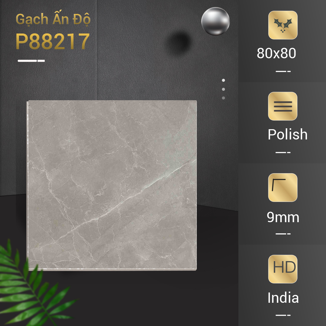 Gạch Ấn Độ 80x80 P88217