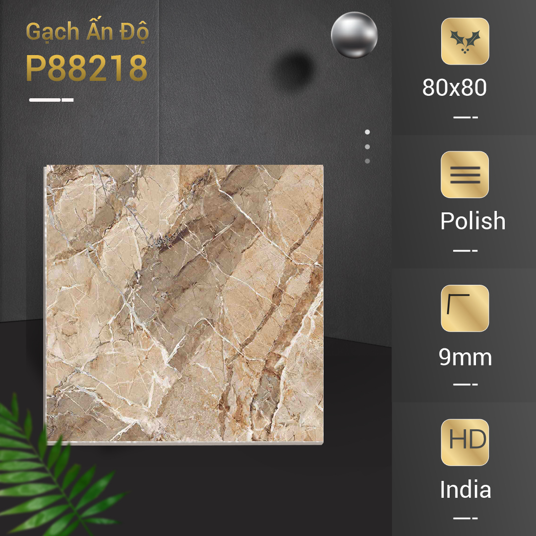 Gạch Ấn Độ 80x80 P88218