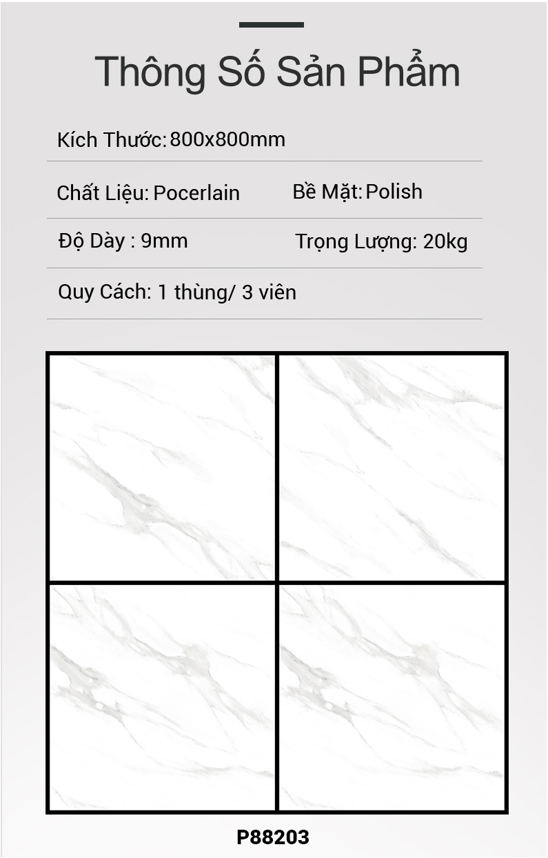 Gạch Ấn Độ 80x80 P88203