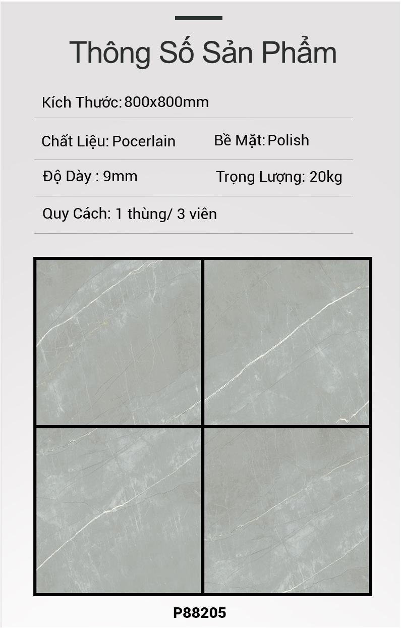 Gạch Ấn Độ 80x80 P88205