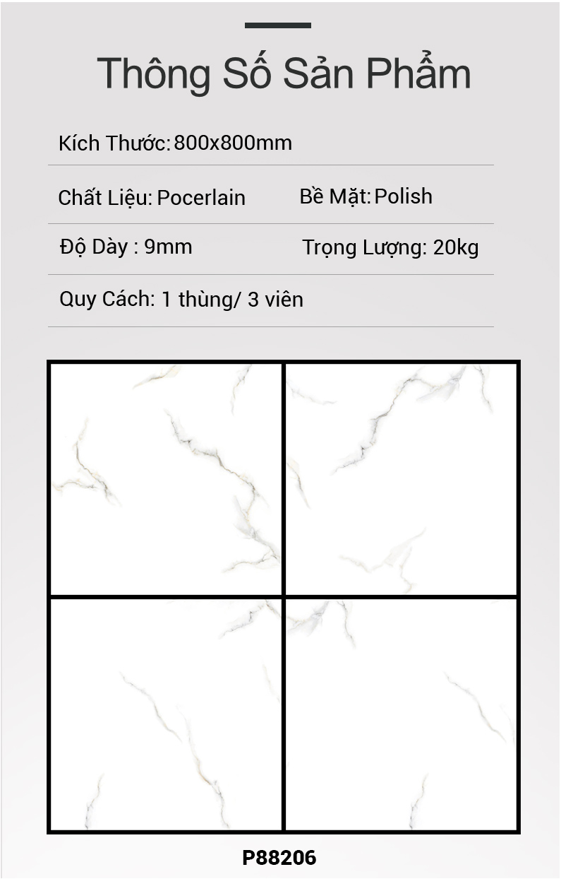 Gạch Ấn Độ 80x80 P88206