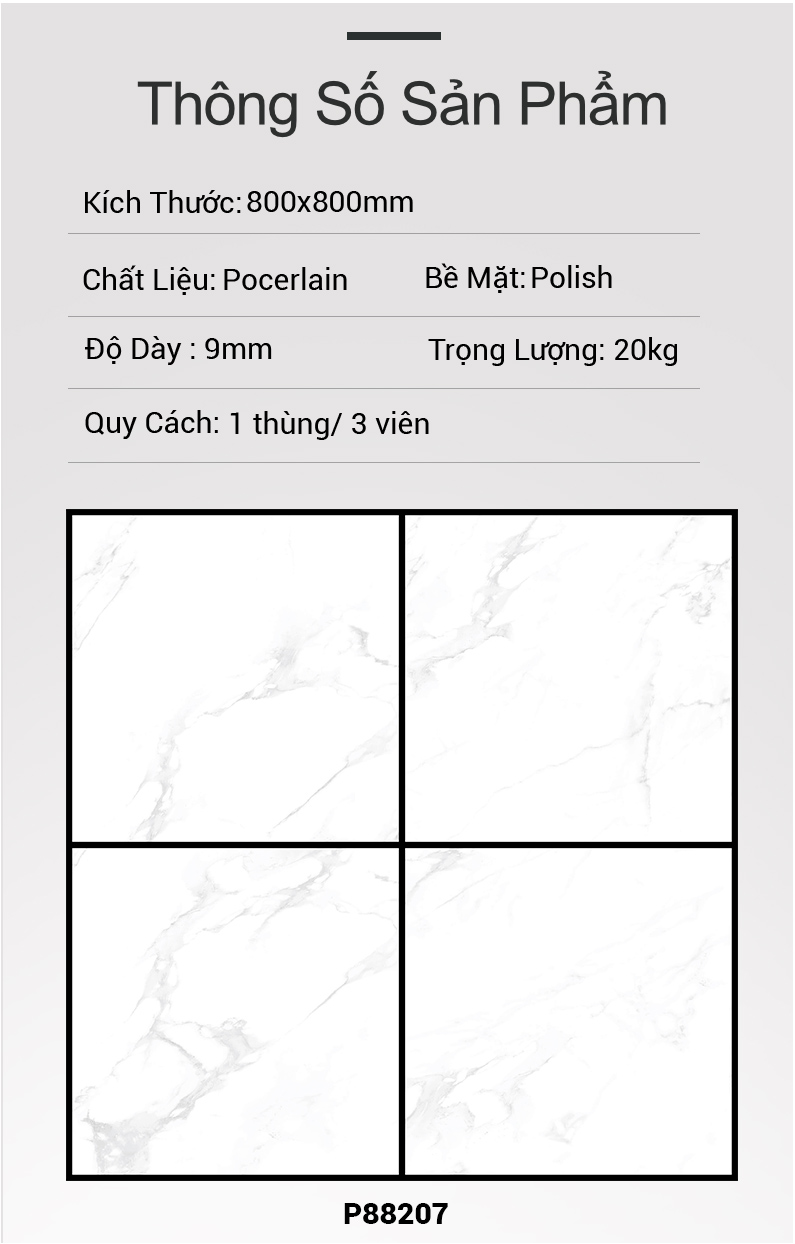 Gạch Ấn Độ 80x80 P88207