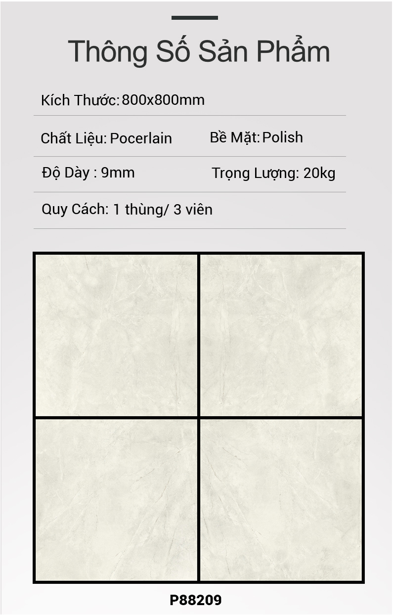 Gạch Ấn Độ 80x80 P88209