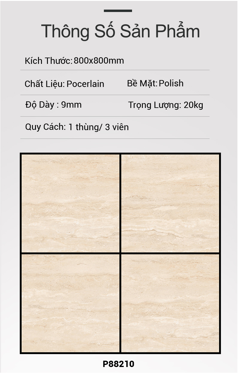Gạch Ấn Độ 80x80 P88210