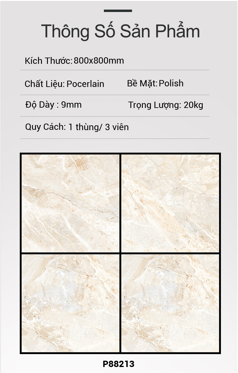 Gạch Ấn Độ 80x80 P88213