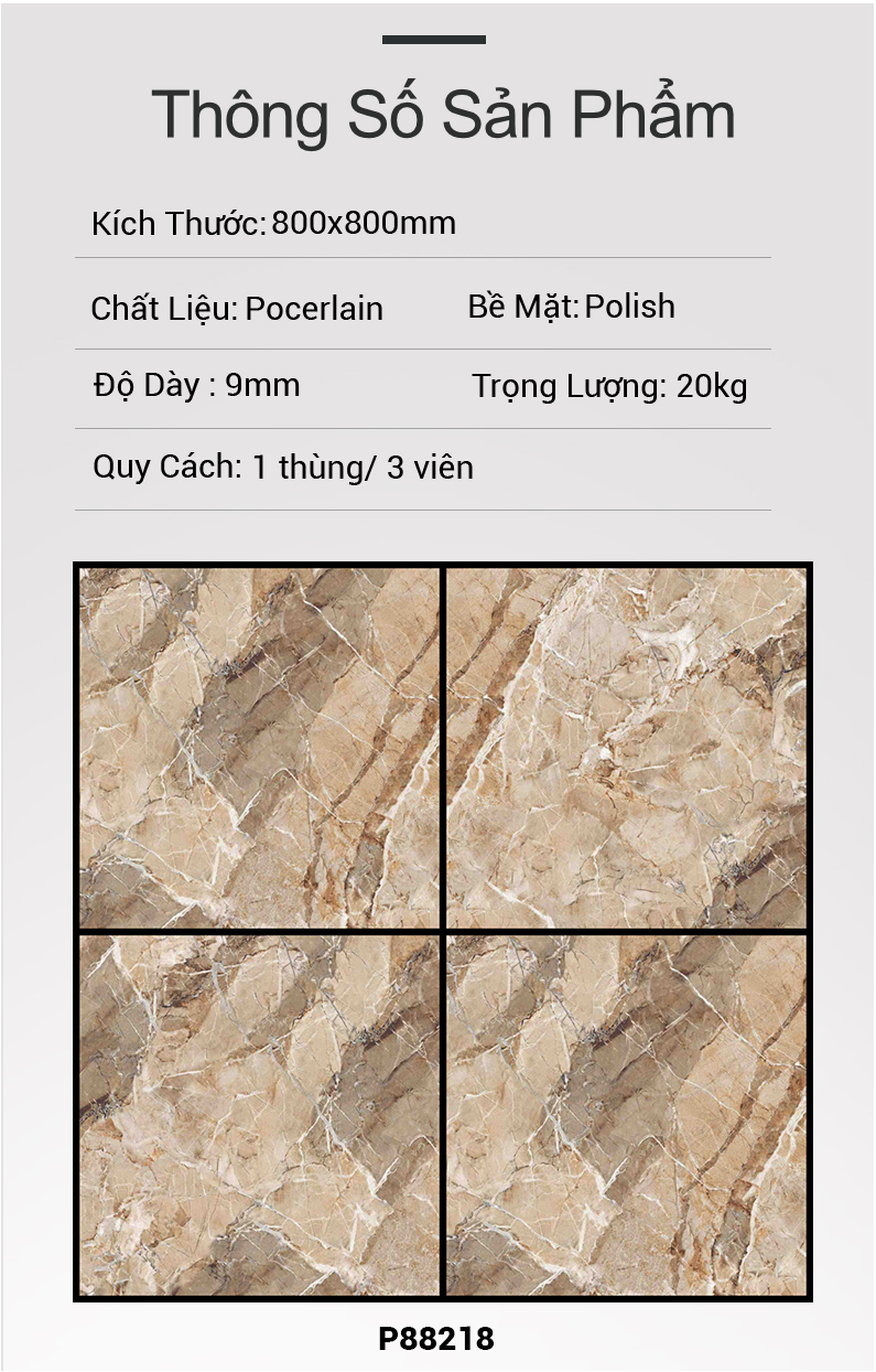 Gạch Ấn Độ 80x80 P88218
