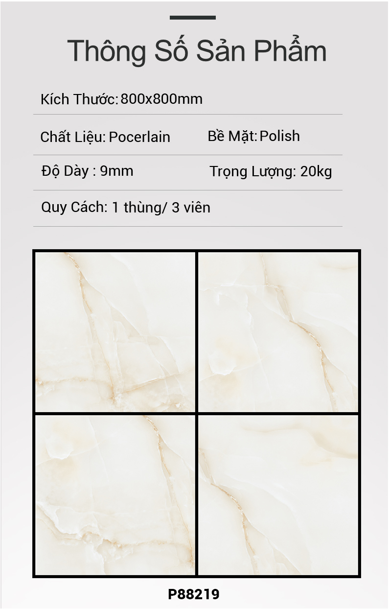 Gạch Ấn Độ 80x80 P88219