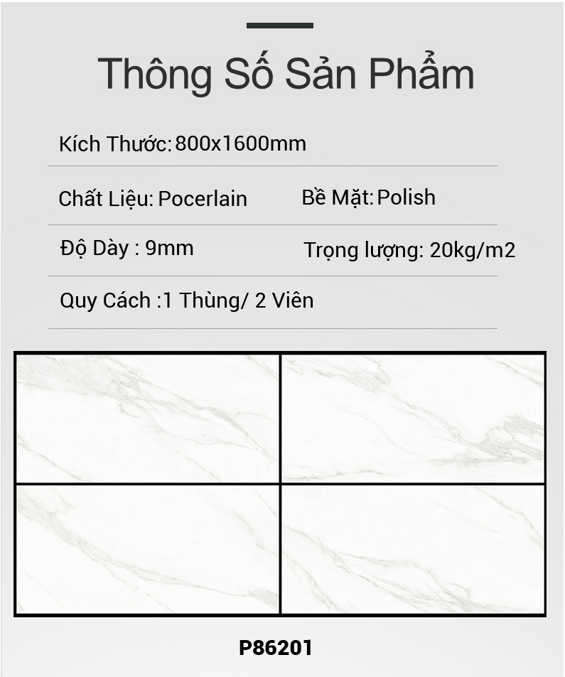 Gạch Ấn Độ 80x160 P86201