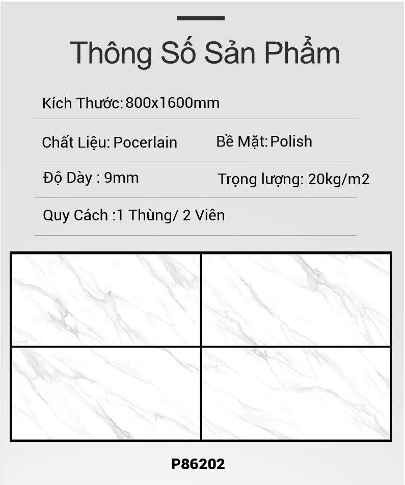 Gạch Ấn Độ 80x160 P86202