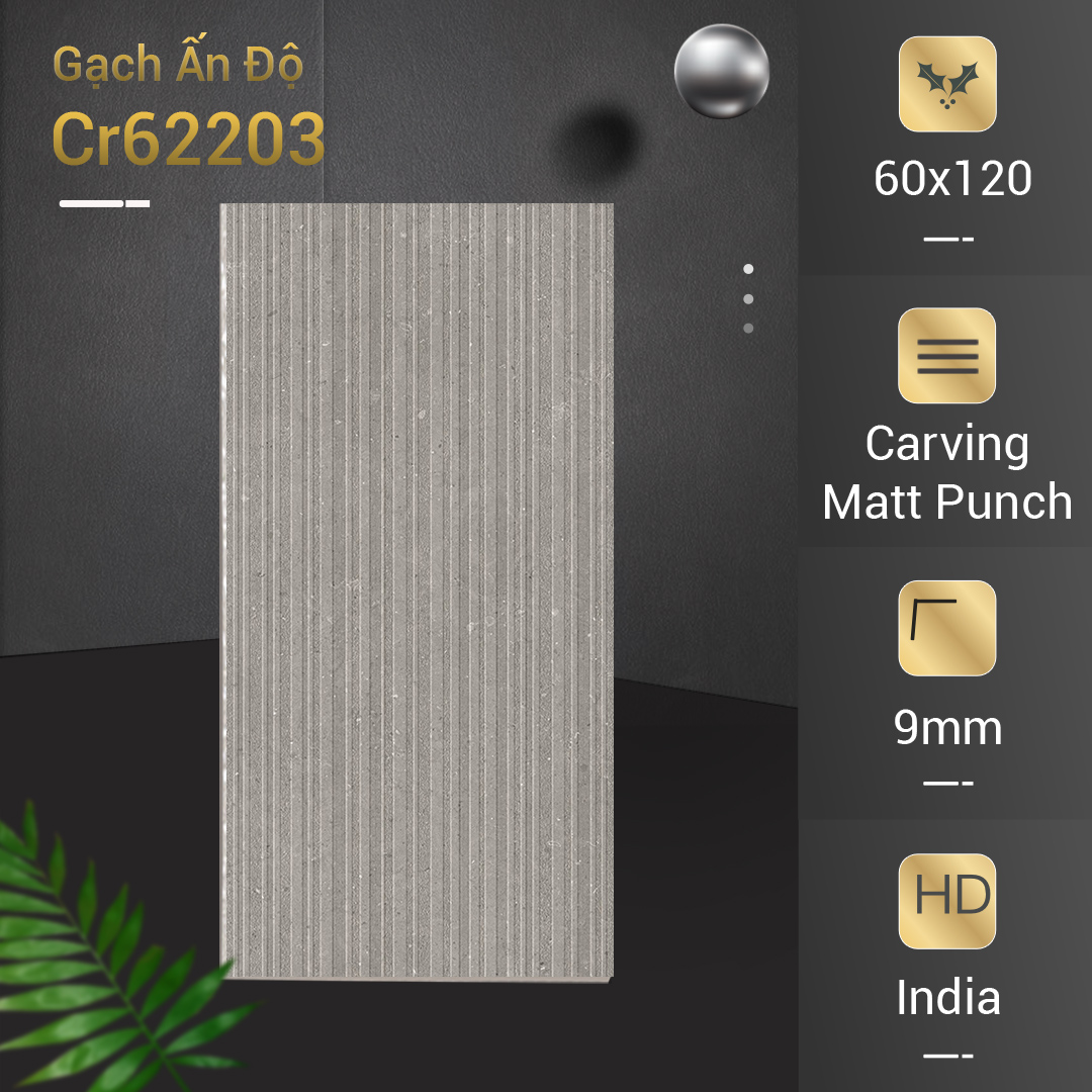 Gạch Ấn Độ 60x120 Cr62203