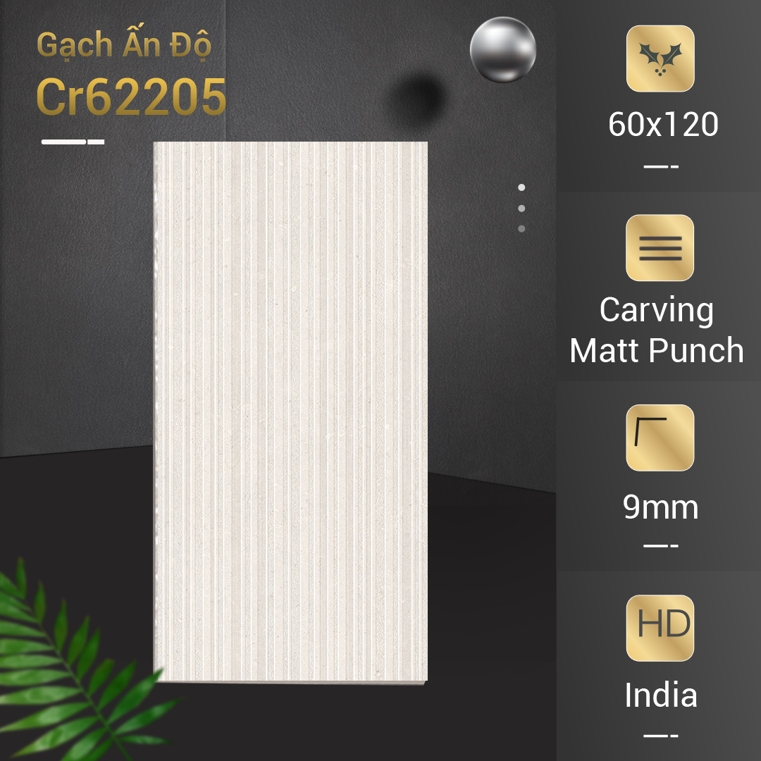 Gạch Ấn Độ 60x120 Cr62205
