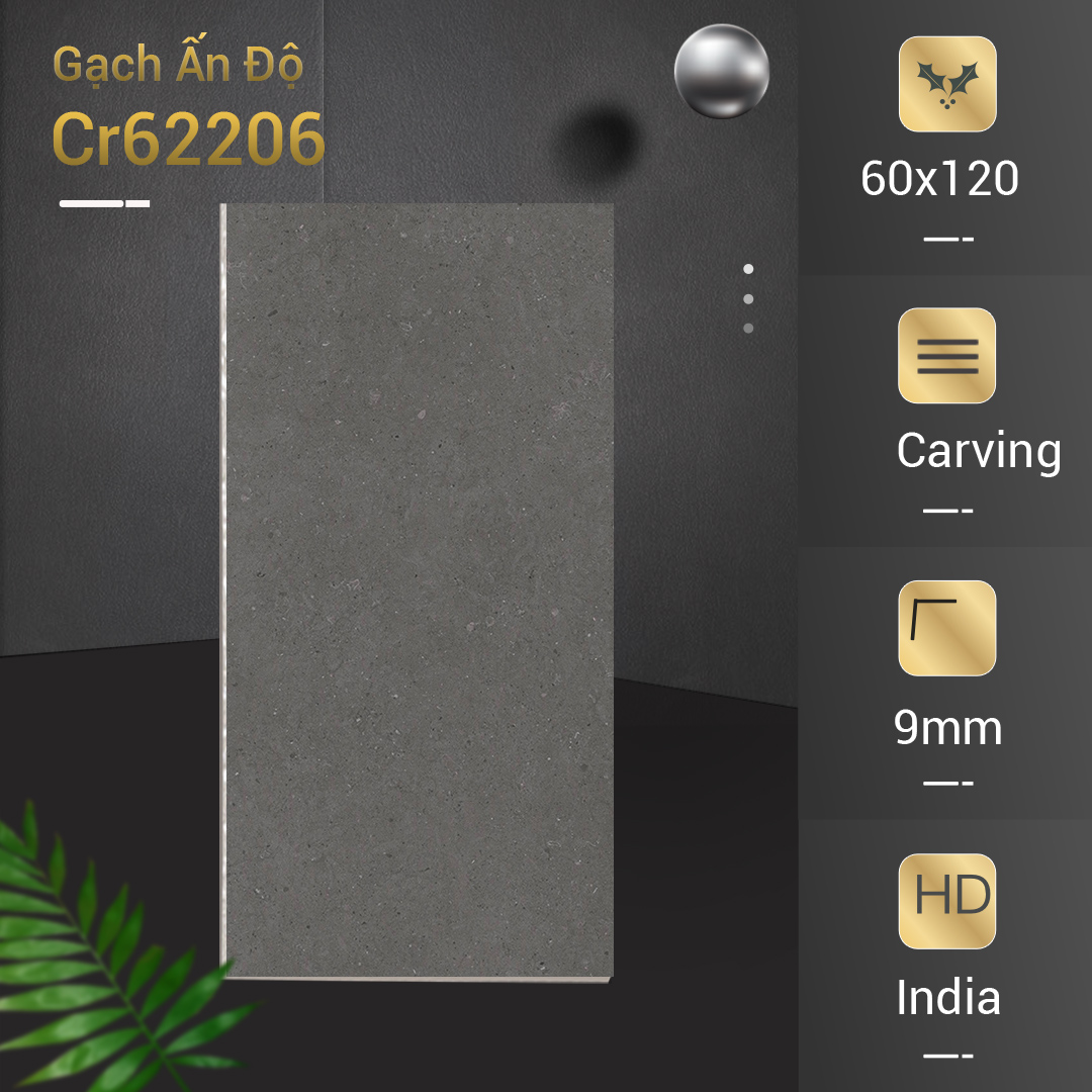 Gạch Ấn Độ 60x120 Cr62206