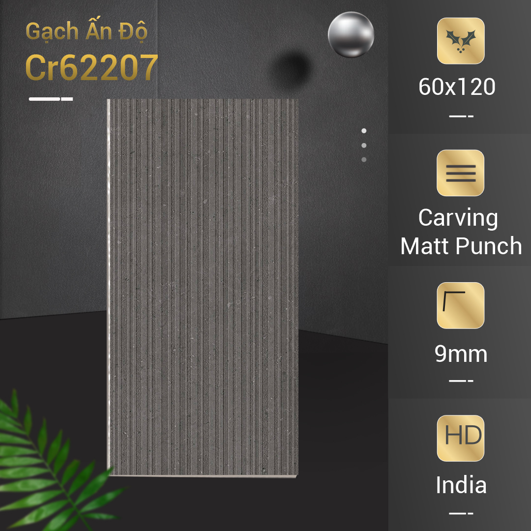 Gạch Ấn Độ 60x120 Cr62207