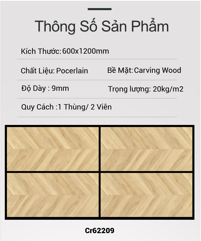 Gạch Ấn Độ 60x120 Cr62209