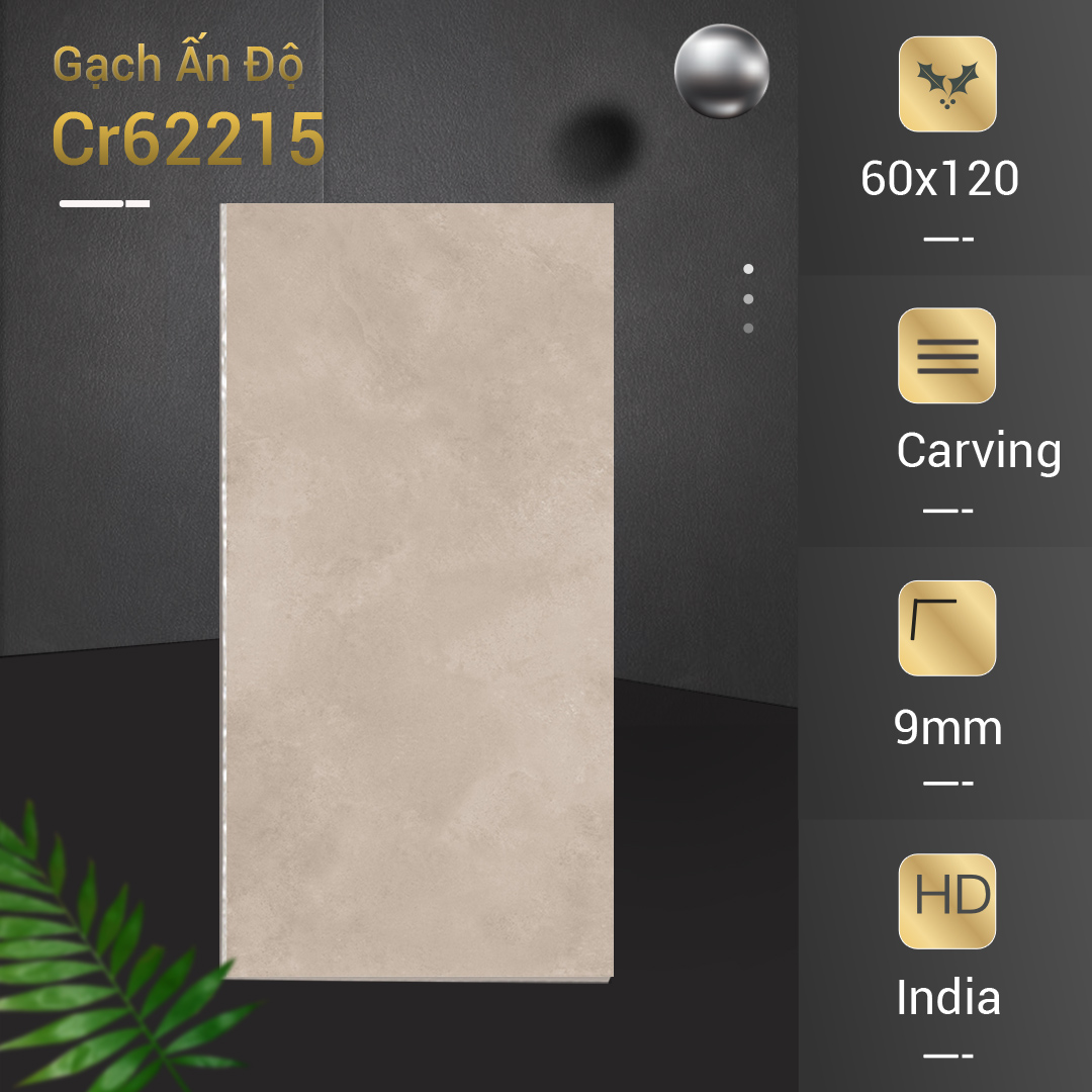 Gạch Ấn Độ 60x120 Cr62215