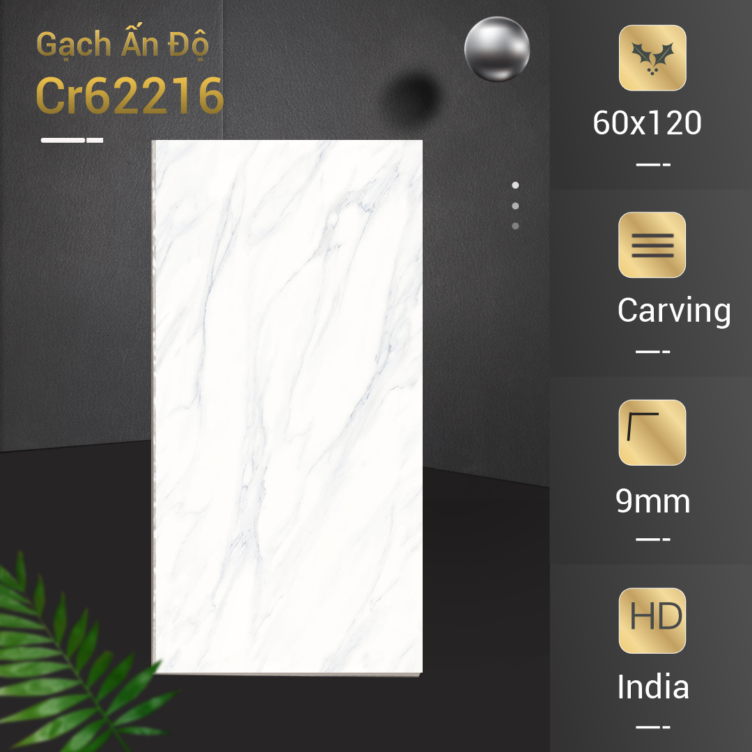 Gạch Ấn Độ 60x120 Cr62216