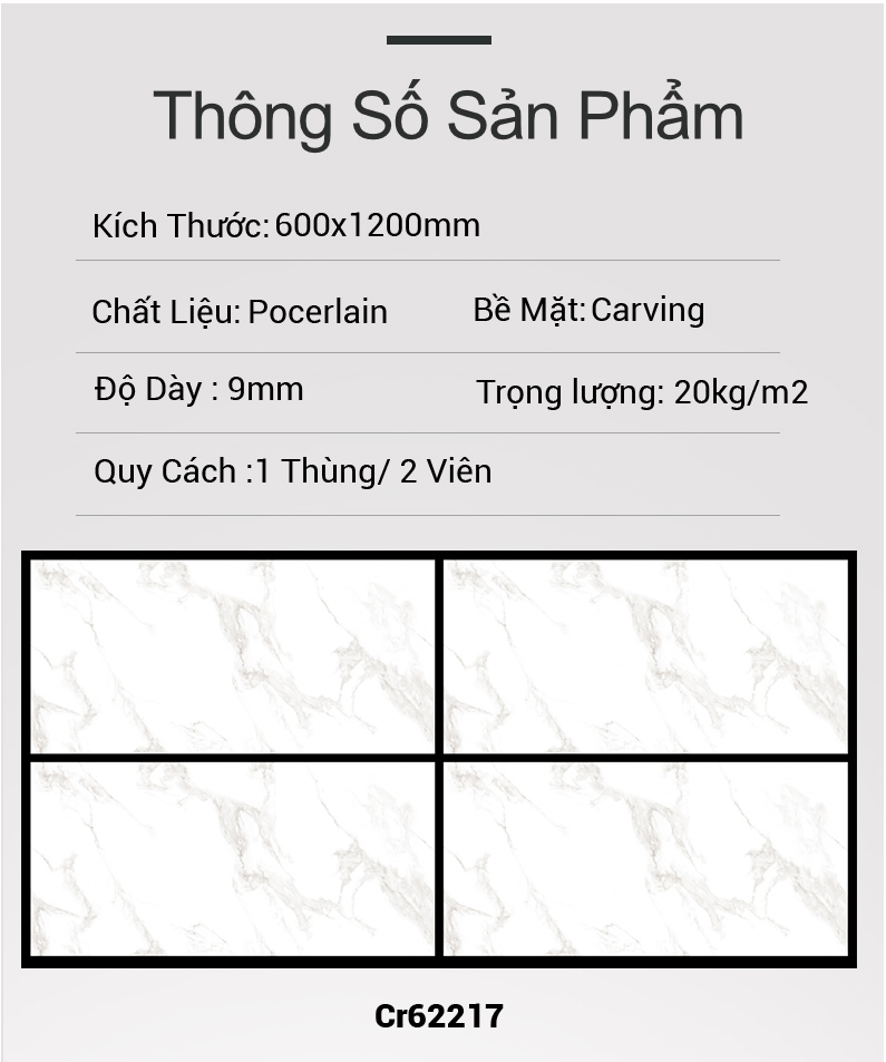 Gạch Ấn Độ 60x120 Cr62217