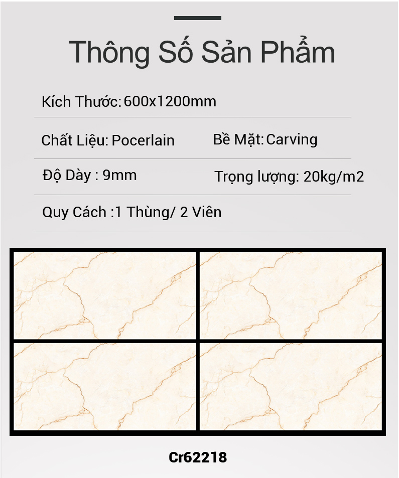 Gạch Ấn Độ 60x120 Cr62218
