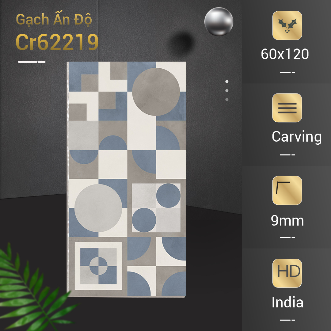 Gạch Ấn Độ 60x120 Cr62219