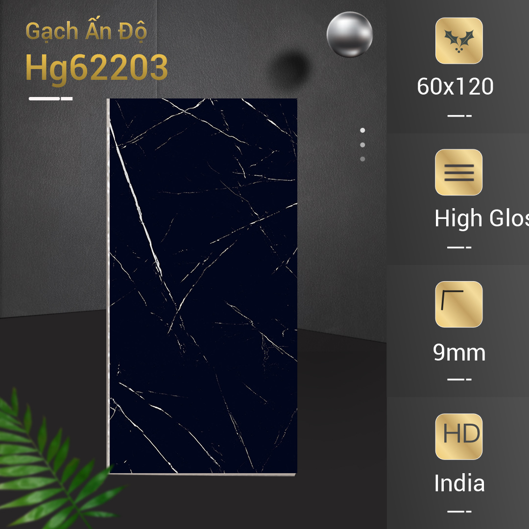 Gạch Ấn Độ 60x120 Hg62203