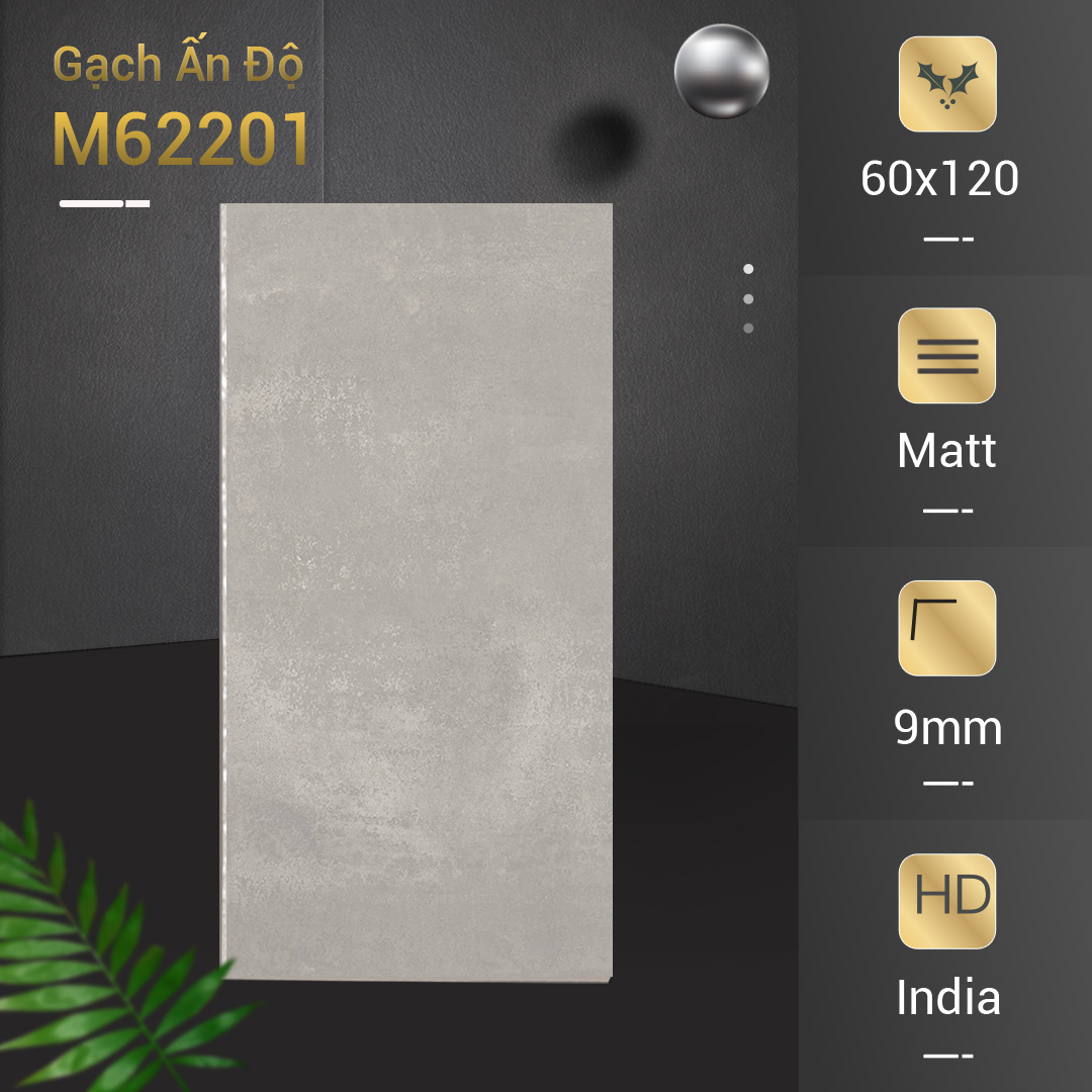 Gạch Ấn Độ 60x120 M62201