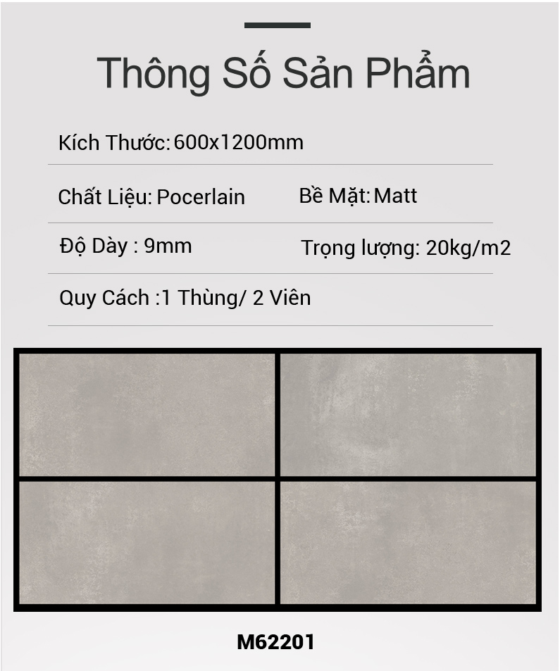 Gạch Ấn Độ 60x120 M62201