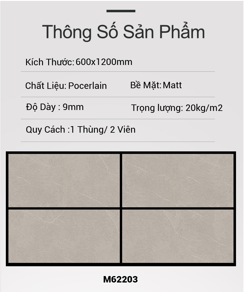 Gạch Ấn Độ 60x120 M62203